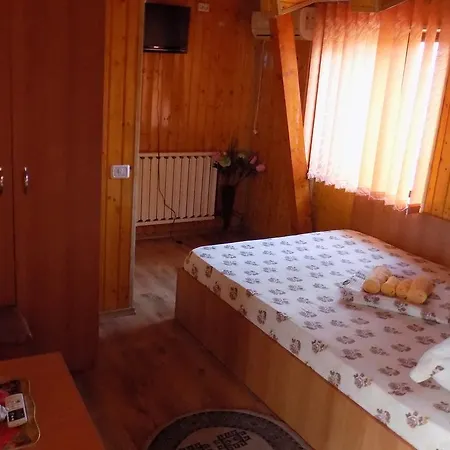 Vila Andros Pensionat